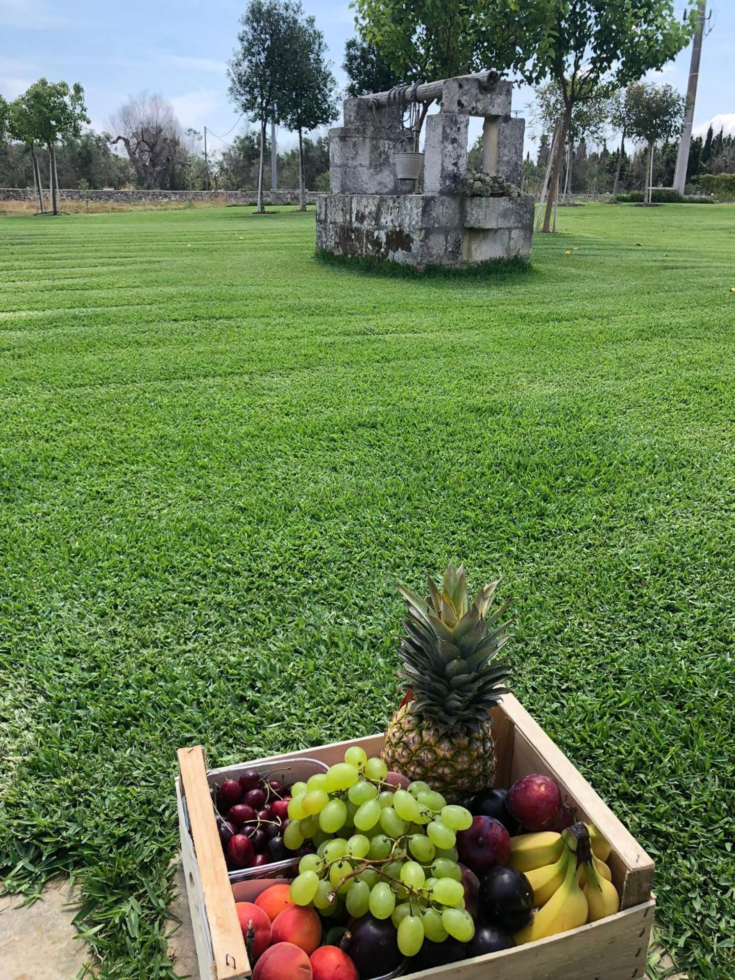 Tenuta Calitre Мелендуньо Экстерьер фото